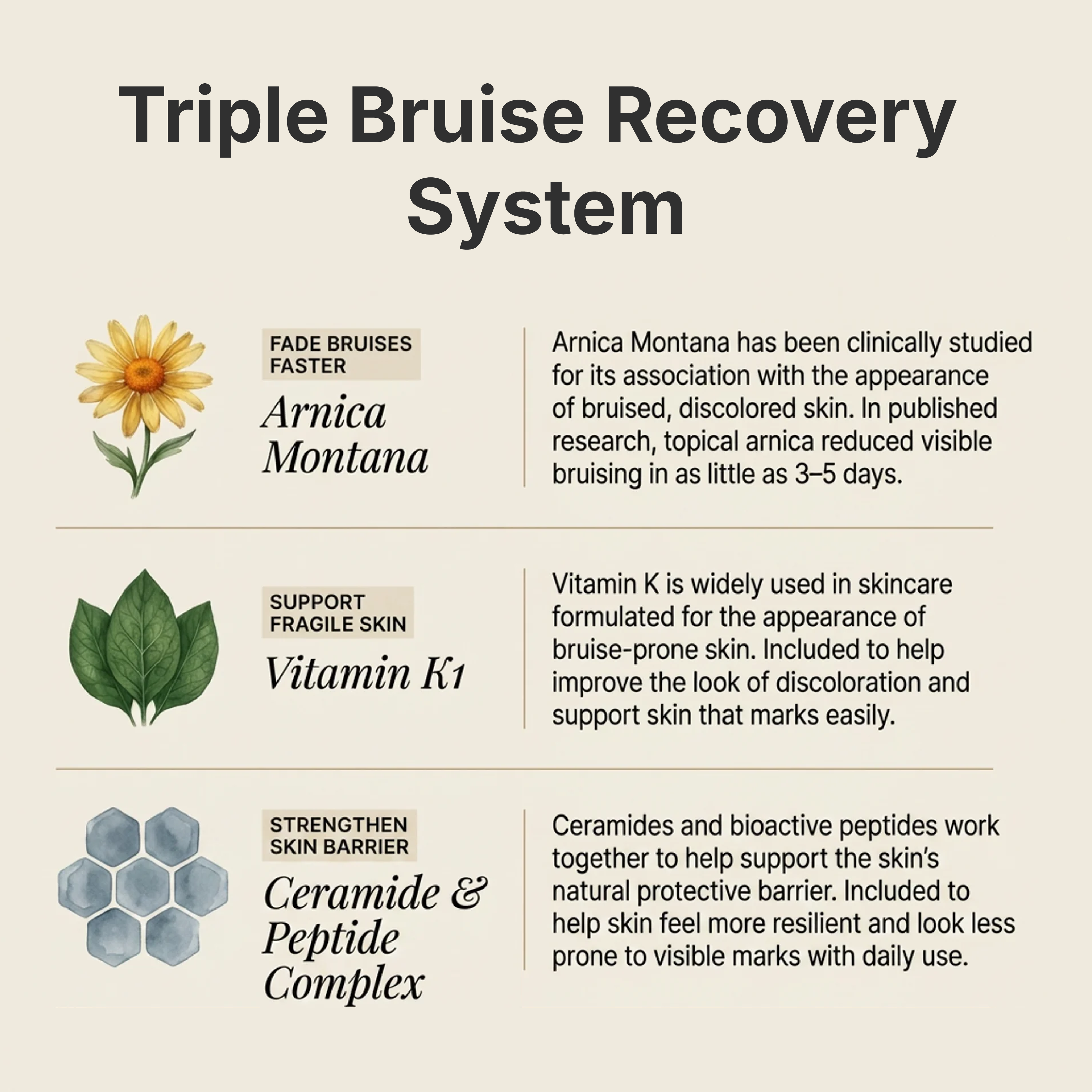 Dermara - Bruise Repair & Skin-Strengthening Cream
