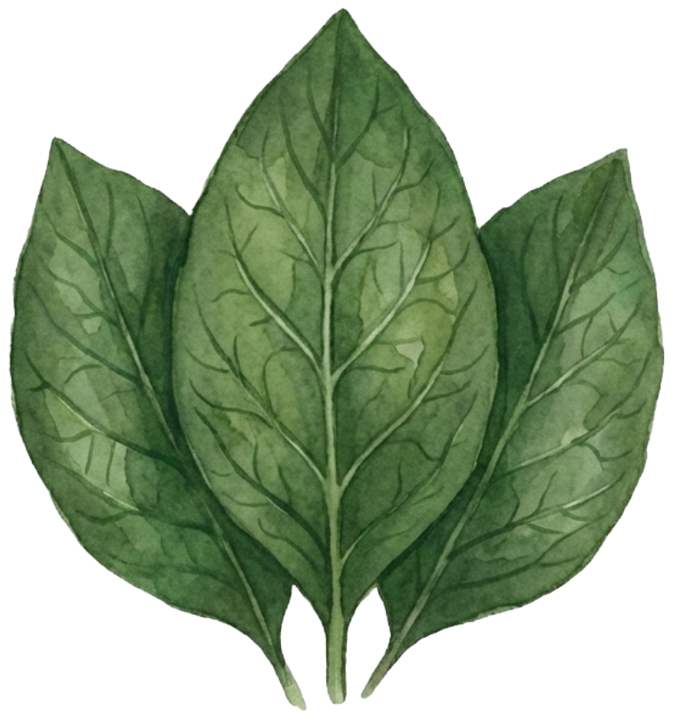 Vitamin K2